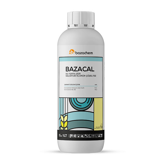BAZACAL