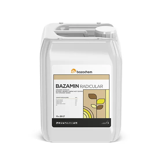 BAZAMIN RADICULAR